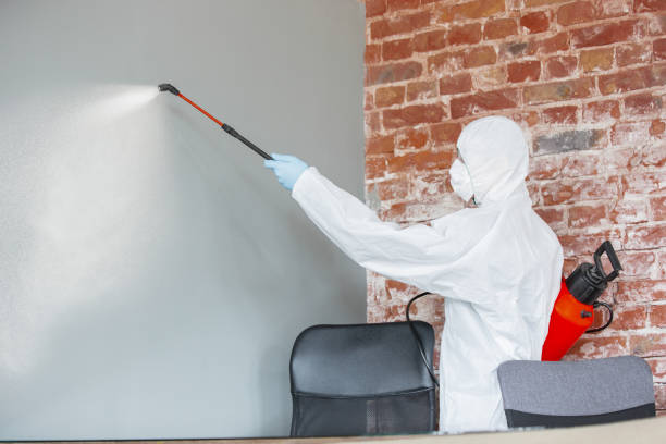 Best Residential Mold Inspection & Testing  in Morgandale, OH