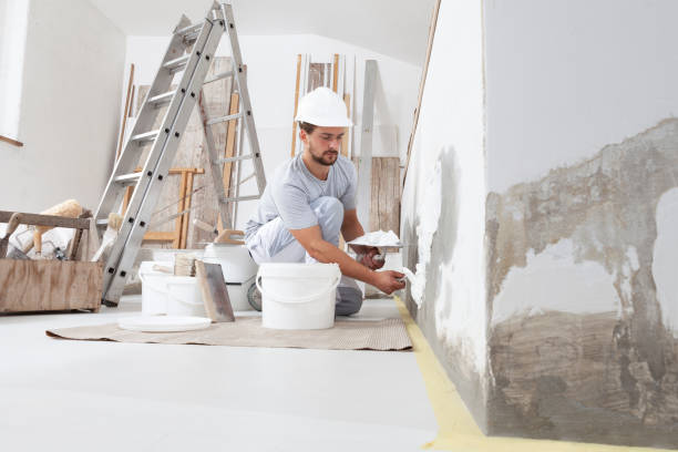 Best Basement Mold Removal  in Morgandale, OH
