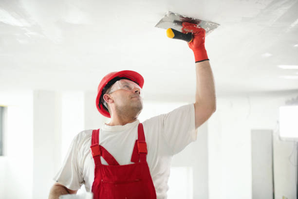 Best Crawl Space Mold Remediation  in Morgandale, OH