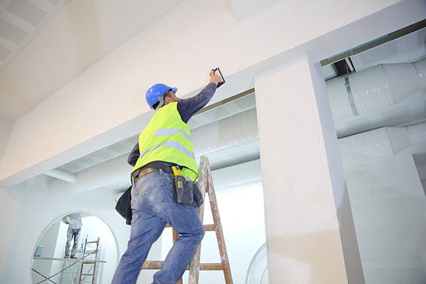 Best Mold Prevention Services  in Morgandale, OH